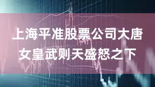 上海平准股票公司大唐女皇武则天盛怒之下