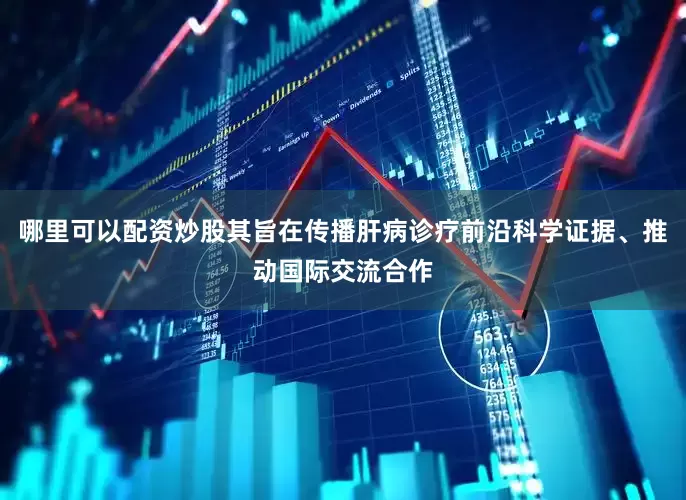哪里可以配资炒股其旨在传播肝病诊疗前沿科学证据、推动国际交流合作