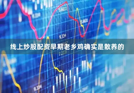 线上炒股配资早期老乡鸡确实是散养的