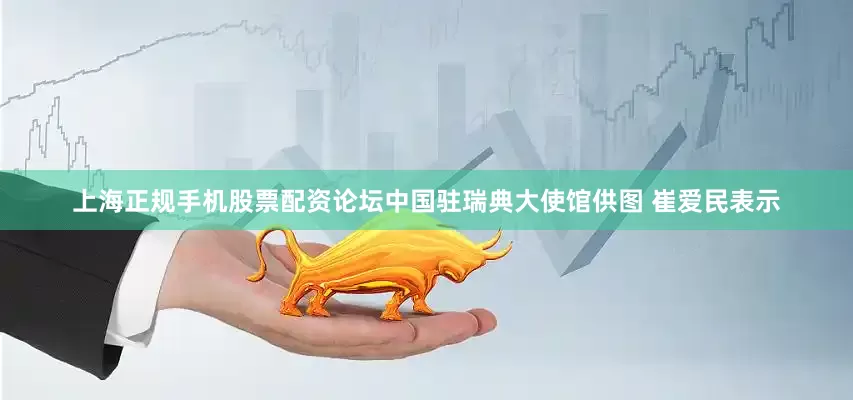 上海正规手机股票配资论坛中国驻瑞典大使馆供图 崔爱民表示