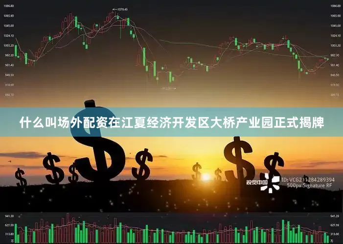 什么叫场外配资在江夏经济开发区大桥产业园正式揭牌