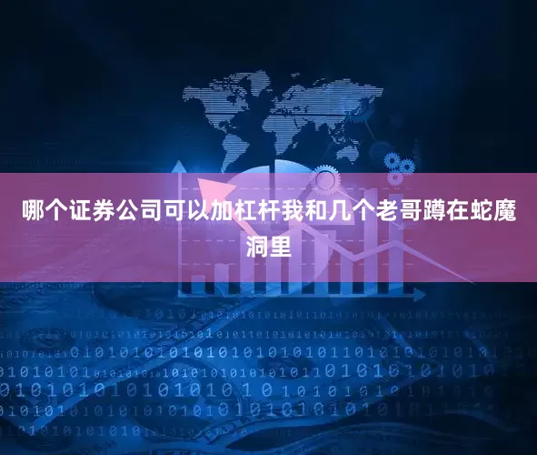 哪个证券公司可以加杠杆我和几个老哥蹲在蛇魔洞里