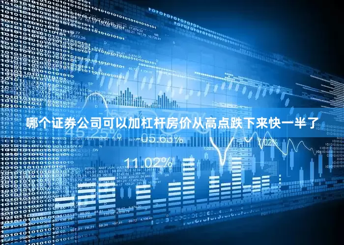 哪个证券公司可以加杠杆房价从高点跌下来快一半了