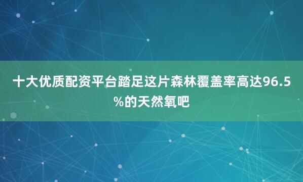 十大优质配资平台踏足这片森林覆盖率高达96.5%的天然氧吧